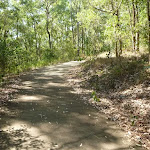Sealed Trail in Green Point Reserve, near Lake Macquarie