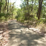 Sealed Trail in Green Point Reserve