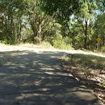Downhill Trail in Green Point Reserve, close to Lake Macquarie
