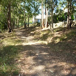 Fire trail behind houses in Green Point Reserve