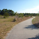 Walking through open grasslands in Green Point Reserve