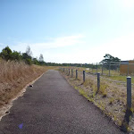 Green Point Drive path in Green Point Reserve