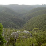 View into the Grose Valley from Fortress Ridge lookout
