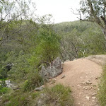 Six Foot track on the east side of the Coxs River