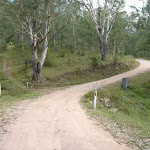 Dirt road winding up the valley east of Kiangatha Yards