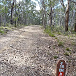 35km sign just south of the Black Range Camping Ground