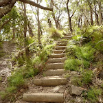 Timber steps on west side of Jenolan Caves Rd