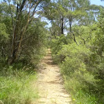 Nature Track