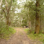 Trail south of Jenolan Caves Cottages