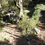 Top most hairpin bend in the Berowra Track