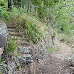 Historic steps near the Intersection of Berowra and Mt Ku-ring-gai tracks