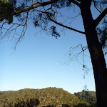 View from Near the bottom of Mt Kuring-gai Track