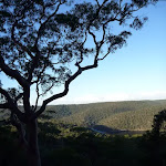 View from the Viewpoint off Mt Kuring-gai Track