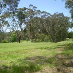Track beside Leura Golf Course