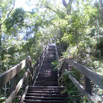 looking up the Casuarina Steps