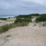 View across the dunes