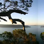 A panarama of from the lookout