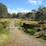 Looking up road to Little Murray camping area