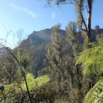 View from Grose Valley