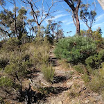 Track on the ridge to Castle Rock