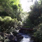 View below Victoria Cascades
