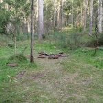 One of many campsites on the Grose River