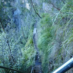 Track down to Govetts Leap falls