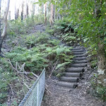 Wooden stairs between Grand Canyon and Evans LO
