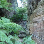 Rock steps on Perrys Track