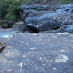 Track markings to Evans Lookout