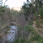 Track on hillside above Grose River