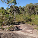 Rocky Outcrop on track east of Kariong Brook