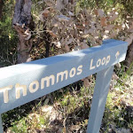 Thommos Loop track sign