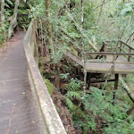 Path to Somersby Falls