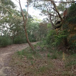 Service trail to Booraba Ave
