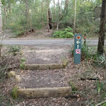Arrow markers across management trail