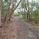 Track down to Thistlethwaite picnic area