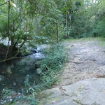 Blackbutt creek next to servicetrail