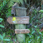 Signpost near Lady Game Drive