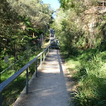 Steps between balmoral park and Middle head road