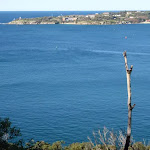 View of Sydney Heads from north of Georges Heights