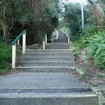 Steps above Clifton Gardens