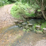 Stepping stones at Old man's Valley Creek