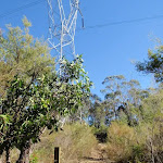 track winding below powerlines