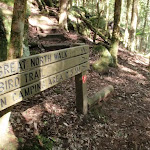 GNW sign on the Lyrebird Trail