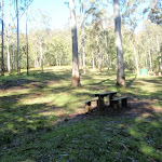 Basin campsite, with open clearing and picnic tables