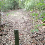 End of Kangaroo Point Road
