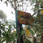 kangaroo point road