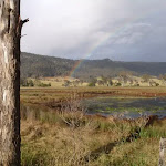 Rainbow from Congewai Valley East trackhead