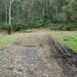 Muddy service trail